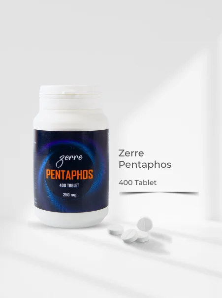 Zerre Schüssler Doku Tuzu Pentaphos 400 Tablet
